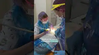 HOW TO FLOSS YOUR TEETH? 🦷 
