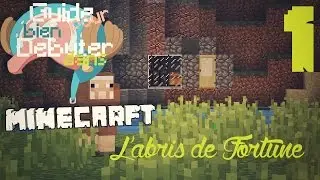 Guide de Minecraft - #1 : L'abris de Fortune