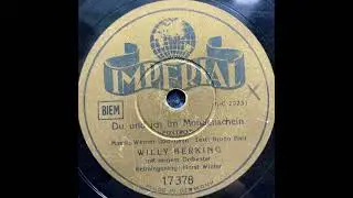 Willy Berking & sein Orchester & Horst Winter - Du und ich im Mondschein