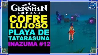 Cofre Lujoso 12 - Playa Tatarasuna - Inazuma - Genshin Impact