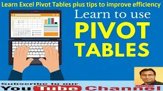 Learn Excel Pivot Tables plus tips to improve efficiency (Microsoft Excel)