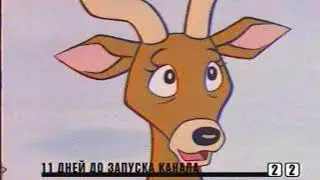 Johnny Bravo Acquaintance in Internet