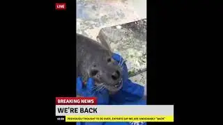 we're back