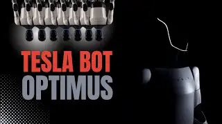 Tesla Bot: Optimus, The Future of Robotics | Robotic Mobility