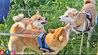 Suki went full T-REX mode on Raya infront of the others 😬