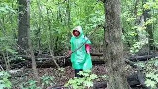 на Лесной 15 августа
