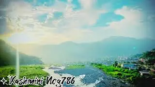 New Video