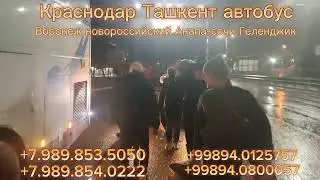 Краснодар Ташкент автобус