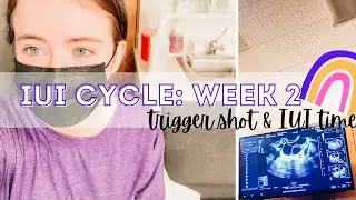 IUI TIME || FIRST IUI CYCLE || MENOPUR INJECTION & TRIGGER SHOT || SECONDARY INFERTILITY TTC BABY 3