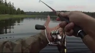 Fishing in Karelia.Perch trolling.