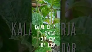 3 Maret 2023