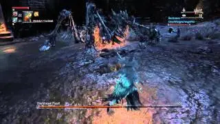 Bloodborne - Puny Dog