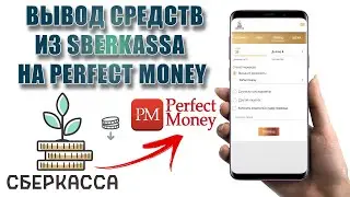 Как сделать вывод средств из платежной системы SberKassa на кошелек Perfect Money