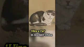 “Hire a Cat” in Ancient China 