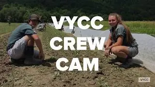 VYCC Crew Cam - Turnip for weeding!