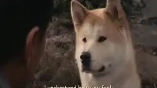 хатико (грустный клип)