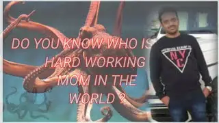 octopus laying eggs दुनिया मै सबसे ज़्यादा मेहनत करने वाली मा #shorts #backtobasics #zakstreets