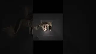 ITS REALLY FNAF