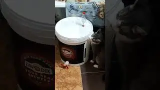 СТАРШИЙ ТЕХНОЛОГ ПРОВЕРЯЕТ ДОМАШНЕЕ ПИВО 