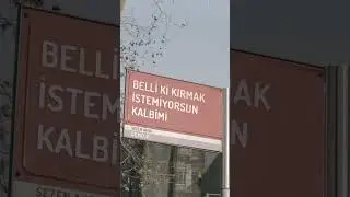 Sezen Aksu - Ben de Yoluma Giderim 