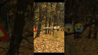 Рыжий лес