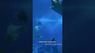 This #Underwater #Hotel Suite in #Dubai has 3 floors 😍😍 #shorts #trending #travel