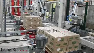 pallet handling line with shuttle for cobots