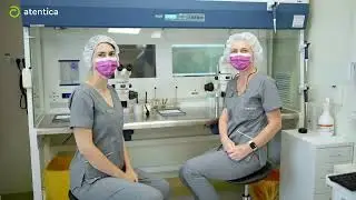 FIV și ICSI: Ghidul Complet pentru Fertilizarea in Vitro și Succesul Concepției | Clinica Atentica