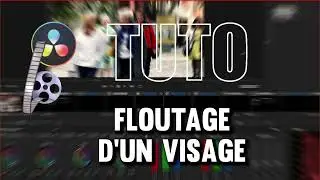 Tutoriel francais davinci resolve - Flouter les visages en mouvement