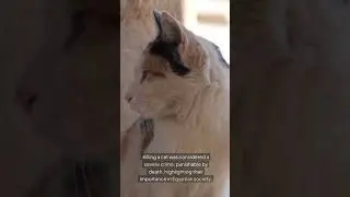Did you know: Cats was a Sacred and Divine Symbol of Ancient Egypt