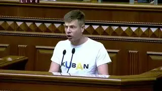 Алексей Гончаренко в Раде