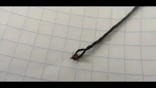 Как вытащить клеща ниткой