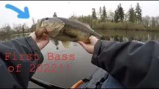 Oregon Spring Bass Fishing!! (Spinnerbait and Chatterbait Bites!)
