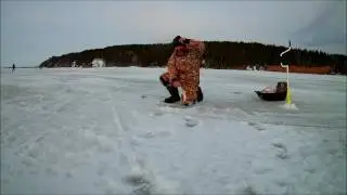 Весенний Судак