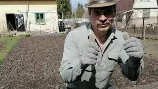 Весна на даче/ Разбросал навоз под картошку/ Легкая перепашка огорода мотоблоком