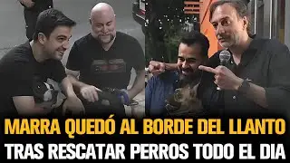 MARRA SE EMOCIONÓ TRAS RESCATAR PERROS DURANTE TODO EL DÍA