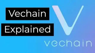 What is Vechain? | Vechain EXPLAINED 2020 | Blockchain-as-a-Service | Decentralized Supply Chain