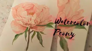 How to paint watercolor Peony for beginners |ArtandcraftbyShakira