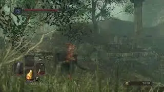 Dark souls 2  или 50 оттенков боли #3