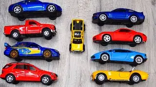 Different Car Sizes and Types