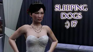 Sleeping Dogs №17