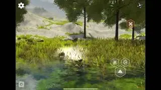 Meadowfell frogs
