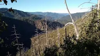Atop Buzzard's Roost along the Illinois River Trail, Oregon - After the Ants