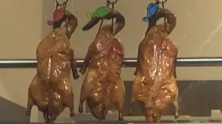 Ducktales irl