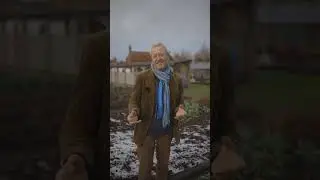 Why aren't more people doing no dig?