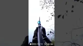 Хороший налёт. Утки падали чуть ли на голову. 🦆