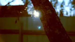 На даче в Сарженке