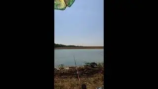 Владислав в прямом эфире!