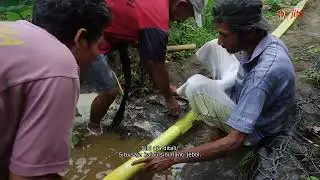 Leb Kanggo Panguripan - Sinema Kota Kota
