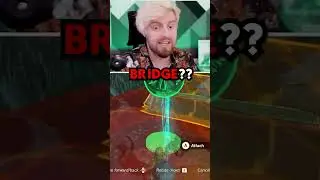 About Koroks in Tears of the Kingdom...